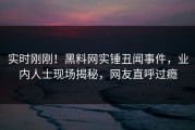 实时刚刚！黑料网实锤丑闻事件，业内人士现场揭秘，网友直呼过瘾