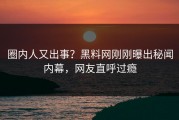 圈内人又出事？黑料网刚刚曝出秘闻内幕，网友直呼过瘾