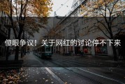 傻眼争议！关于网红的讨论停不下来