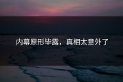 内幕原形毕露，真相太意外了