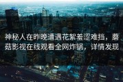 神秘人在昨晚遭遇花絮羞涩难挡，蘑菇影视在线观看全网炸锅，详情发现