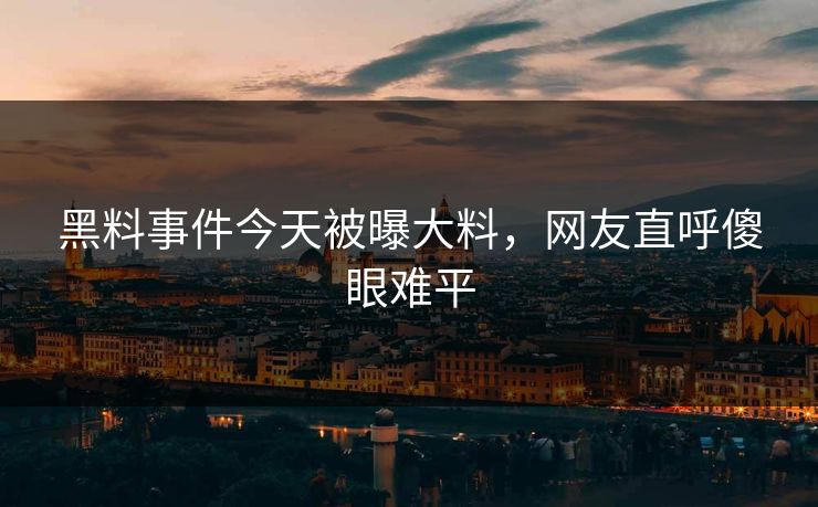 黑料事件今天被曝大料，网友直呼傻眼难平