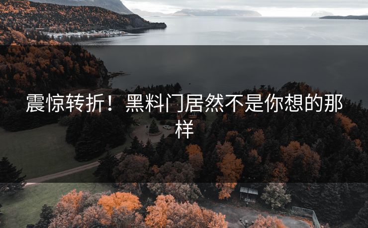 震惊转折！黑料门居然不是你想的那样