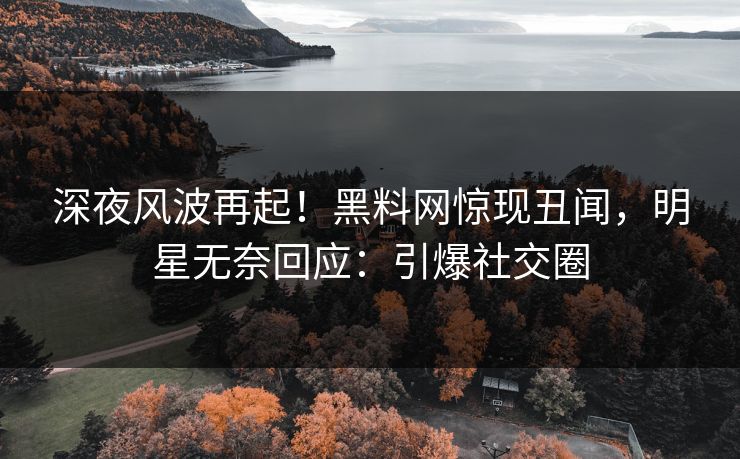 深夜风波再起！黑料网惊现丑闻，明星无奈回应：引爆社交圈