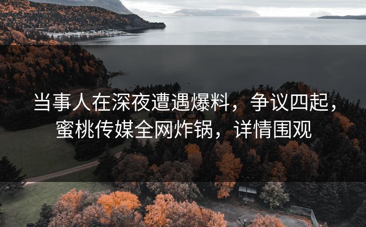 当事人在深夜遭遇爆料，争议四起，蜜桃传媒全网炸锅，详情围观