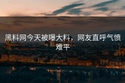 黑料网今天被曝大料，网友直呼气愤难平