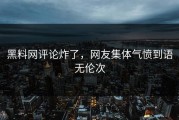 黑料网评论炸了，网友集体气愤到语无伦次