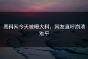 黑料网今天被曝大料，网友直呼崩溃难平