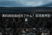 黑料网到底经历了什么？现场竟然狂喜