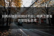 别再纠结91视频好不好：你真正要看的是隐私选项