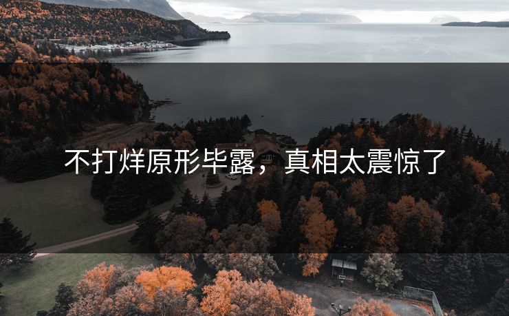 不打烊原形毕露，真相太震惊了