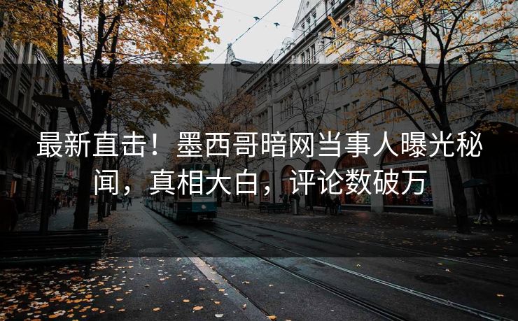 最新直击！墨西哥暗网当事人曝光秘闻，真相大白，评论数破万
