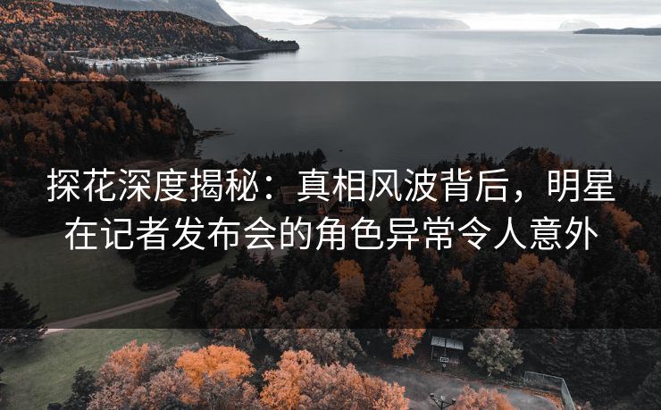 探花深度揭秘：真相风波背后，明星在记者发布会的角色异常令人意外