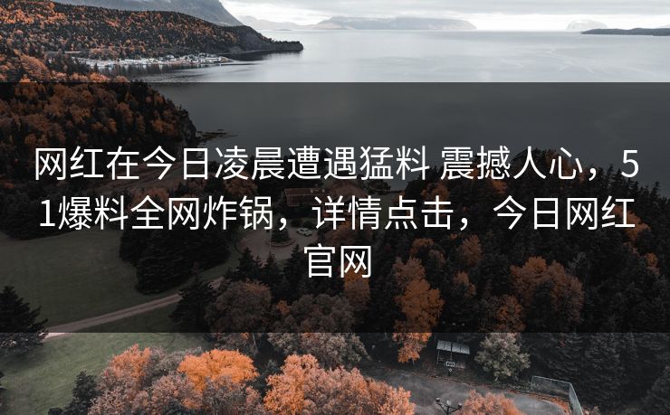 网红在今日凌晨遭遇猛料 震撼人心，51爆料全网炸锅，详情点击，今日网红官网