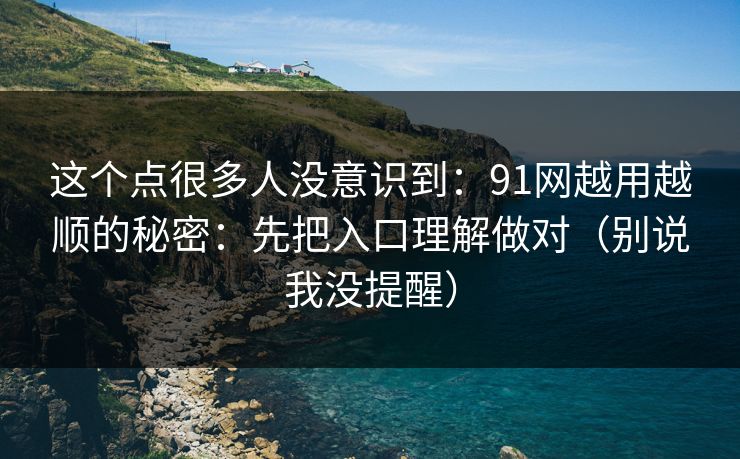 这个点很多人没意识到：91网越用越顺的秘密：先把入口理解做对（别说我没提醒）